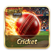 Cricket thumbnail